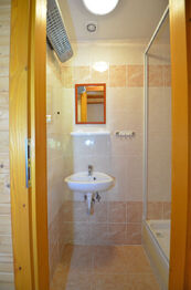 Prodej chaty / chalupy 170 m², Borušov