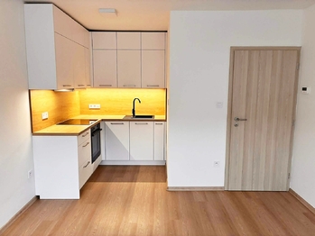Pronájem bytu 1+kk v osobním vlastnictví 27 m², České Budějovice