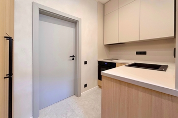 Prodej bytu 1+1 v osobním vlastnictví 34 m², Praha 3 - Žižkov
