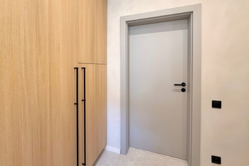 Prodej bytu 1+1 v osobním vlastnictví 34 m², Praha 3 - Žižkov