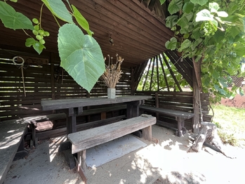 Prodej domu 350 m², Veselí nad Lužnicí
