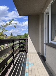 Prodej domu 350 m², Veselí nad Lužnicí