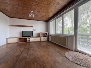 Prodej domu 350 m², Veselí nad Lužnicí