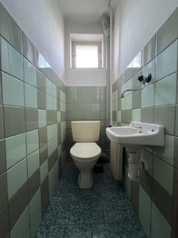 Prodej domu 350 m², Veselí nad Lužnicí
