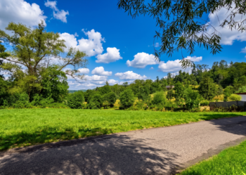 Prodej pozemku 1748 m², Homole u Panny