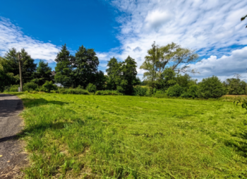 Prodej pozemku 1748 m², Homole u Panny