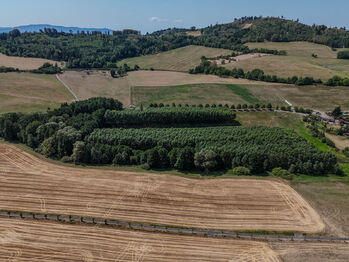 Prodej pozemku 86149 m², Brnířov