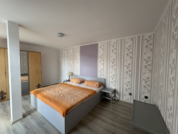 Prodej domu 490 m², Růžová