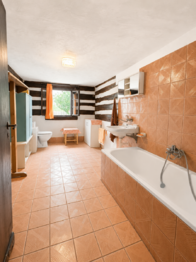 Prodej chaty / chalupy 160 m², Štětí
