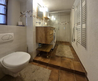 Prodej chaty / chalupy 95 m², Svojanov