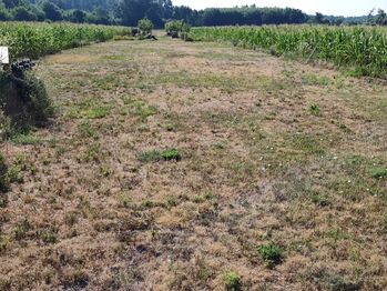 Prodej domu 121 m², Vranovice
