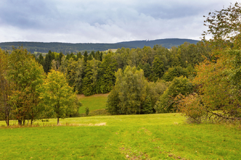 Prodej pozemku 61702 m², Orličky