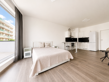 Pronájem bytu 1+kk v osobním vlastnictví 40 m², Plzeň