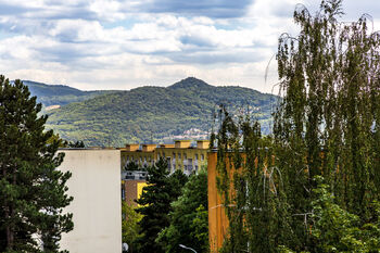 Pronájem bytu 3+1 v osobním vlastnictví 66 m², Ústí nad Labem