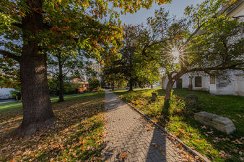 Prodej bytu 2+1 v družstevním vlastnictví 43 m², Mohelnice