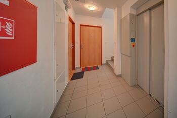 Pronájem bytu 1+1 v družstevním vlastnictví 34 m², Poděbrady