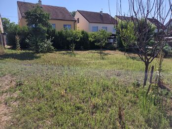 Prodej domu 216 m², Pohořelice