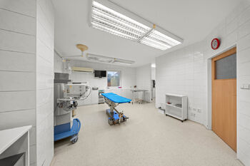 Prodej domu 361 m², Kolín