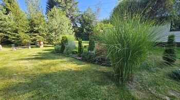 Prodej chaty / chalupy 80 m², Krouna