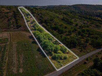 Prodej pozemku 1720 m², Hustopeče