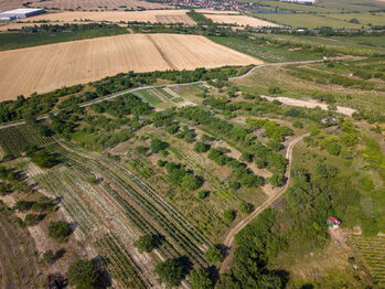 Prodej pozemku 1720 m², Hustopeče