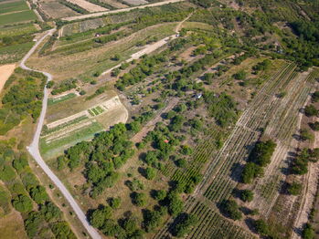 Prodej pozemku 1720 m², Hustopeče