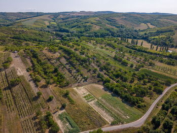 Prodej pozemku 1720 m², Hustopeče