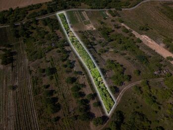 Prodej pozemku 1720 m², Hustopeče