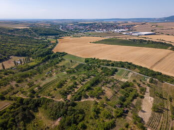 Prodej pozemku 1720 m², Hustopeče