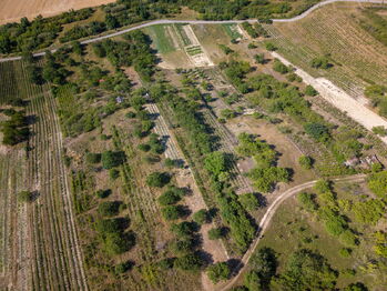 Prodej pozemku 1720 m², Hustopeče