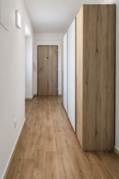Pronájem bytu 2+1 v osobním vlastnictví 60 m², Kladno