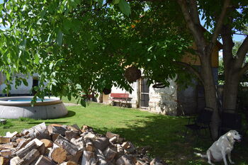 Pohled do zahrady - Prodej domu 200 m², Velká Kraš