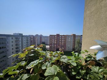Prodej bytu 3+1 v družstevním vlastnictví 73 m², Havířov