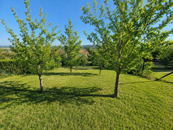 Pronájem domu 105 m², Heršpice