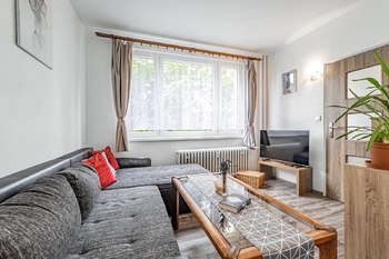 Obývací pokoj/ložnice. - Pronájem bytu 1+1 v osobním vlastnictví 37 m², Jindřichův Hradec