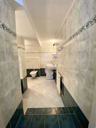 Pronájem bytu 1+1 v osobním vlastnictví 37 m², Černošice