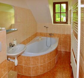 Pronájem ubytovacího zařízení 588 m², Nové Hutě
