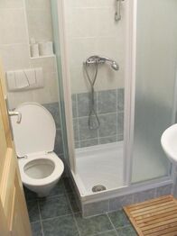 Pronájem ubytovacího zařízení 588 m², Nové Hutě