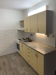 Pronájem bytu 2+kk v osobním vlastnictví 48 m², Rakovník