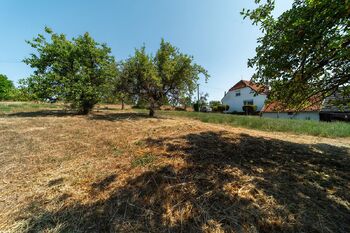 Prodej pozemku 1129 m², Oslnovice