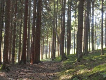 Prodej pozemku 56930 m², Hlavňovice
