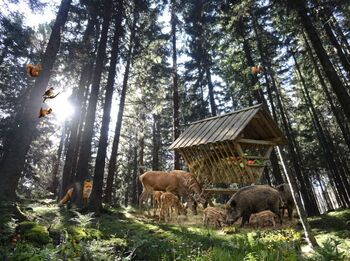 Prodej pozemku 56930 m², Hlavňovice