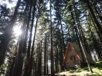 Prodej pozemku 56930 m², Hlavňovice