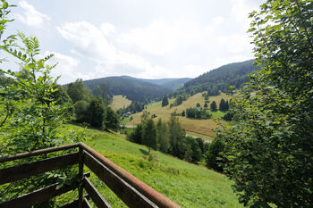 horska-chalupa-pec-pod-snezkou-prodej - Prodej chaty / chalupy 200 m², Pec pod Sněžkou