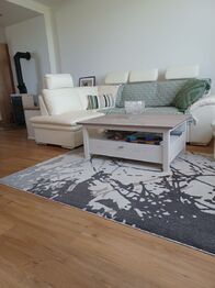 Pronájem bytu 2+kk v osobním vlastnictví 75 m², Bochoř