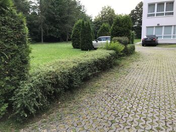 Pronájem bytu 5+kk v osobním vlastnictví 182 m², Praha 4 - Hodkovičky