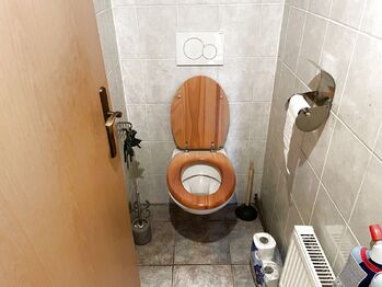 Toaleta - Pronájem domu 78 m², Družec