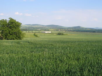 Prodej pozemku 4139 m², Ploskovice