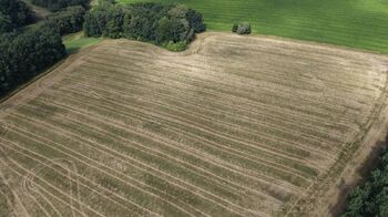 Prodej pozemku 16530 m², Stará Ves nad Ondřejnicí