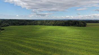 Prodej pozemku 16530 m², Stará Ves nad Ondřejnicí
